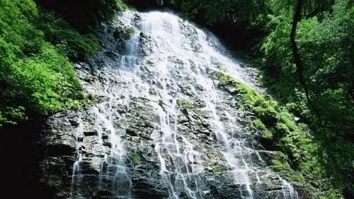 稳定性稳定性高标准